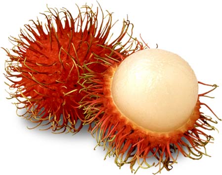 Fresh-Rambutan-1.jpg.4d154f364c37837653b820372ea284b6.jpg