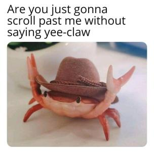 image0.png.c6d617dfecb0170545392740f7ebcb1f.png
