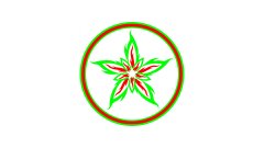 Nalthis green and red on white laptop