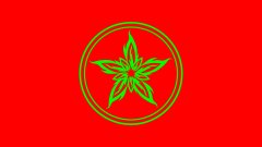 Nalthis green on red laptop