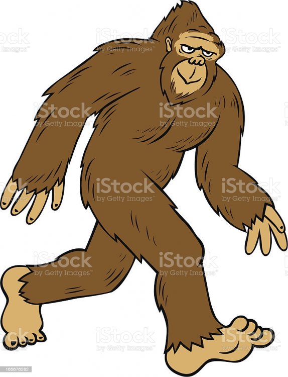 30EE2567-2CFC-4907-9F2D-562CECC32CA0.thumb.jpeg.ae0d25b94a1891073ff9aa113e602d20.jpeg