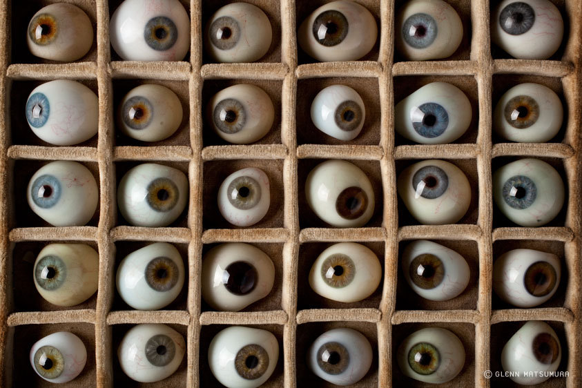73_1_mg_6555glasseyeslb.jpg.dbcdd70b8ca56158119a609dfd334192.jpg