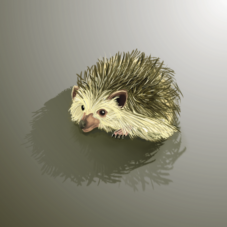 Secret_Santa_Image.thumb.png.c3389f5eb49501a1fb12bce3ca06c0d7.png.68fc39a15a554ab75dcdc412d4a959ba.png