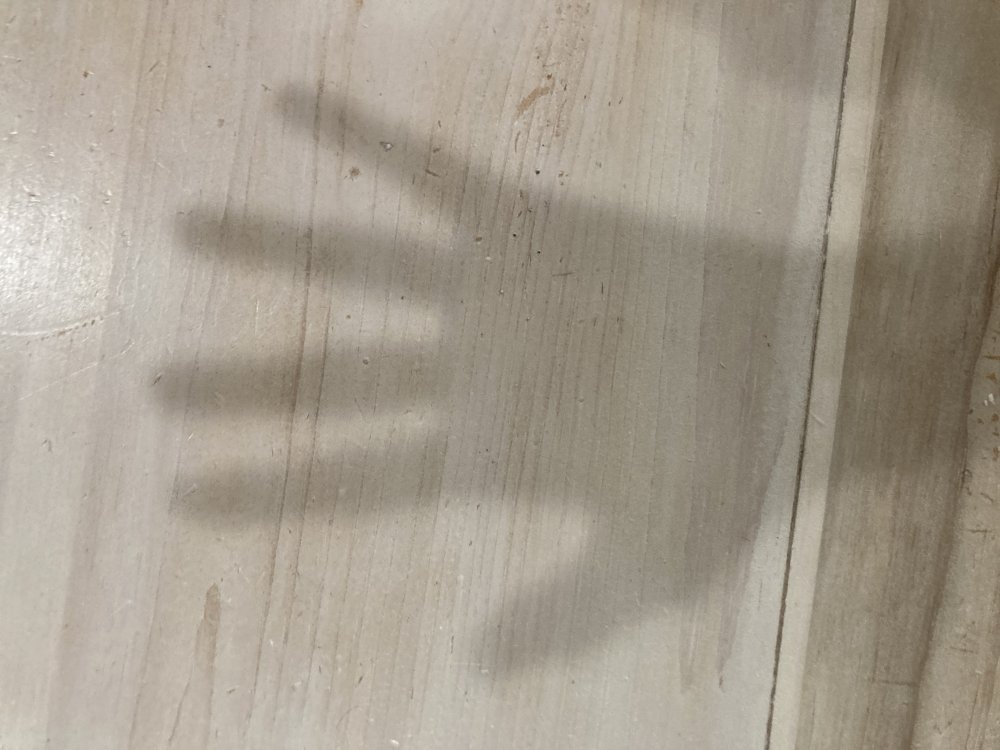 image.thumb.jpg.6331087942e60c97b767ae72934293a5.jpg