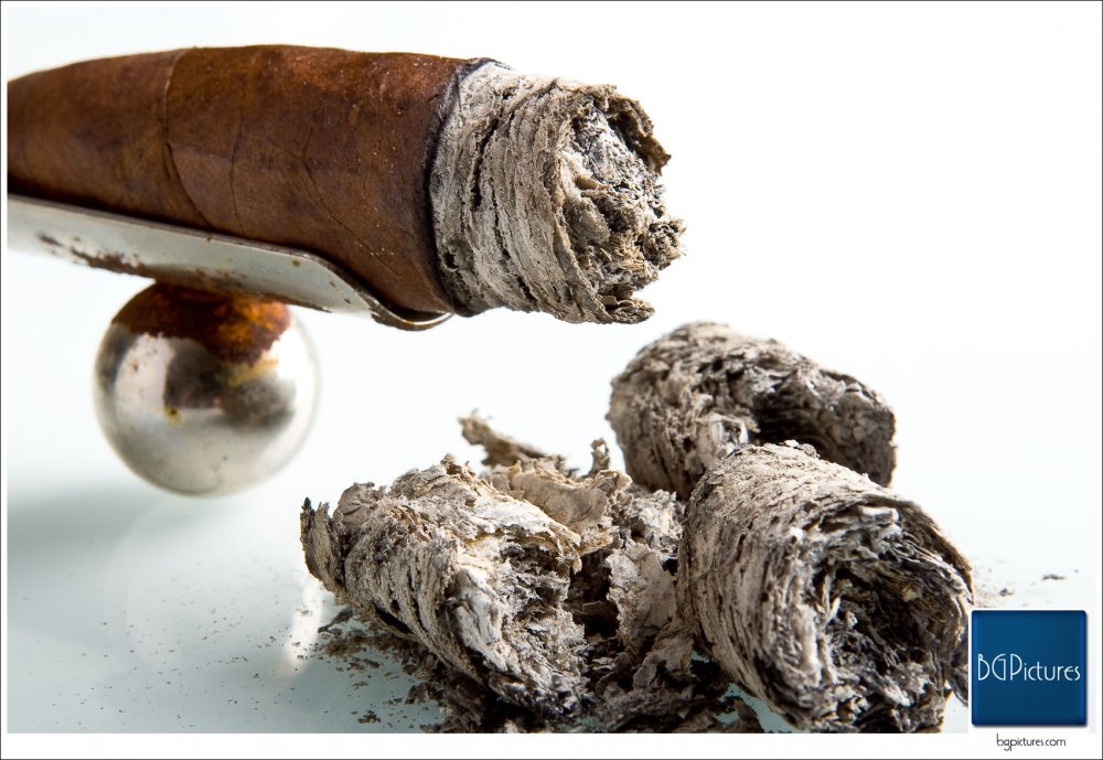 s23022_cigar-ash-1.thumb.jpg.d498a2479b0a19e20c54dfdcefb82820.jpg