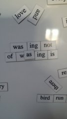 wasing.jpg