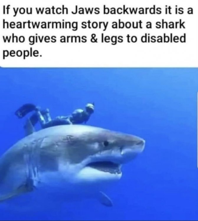 387D8F25-0744-4394-B4EB-E9E55399491D.jpeg