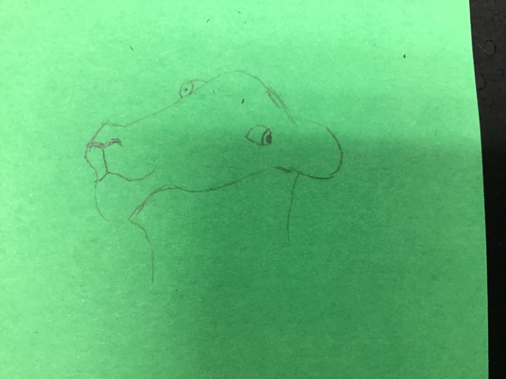 4418FDBE-598F-4781-8636-407E6CE64732.thumb.jpeg.b29bab49e7f0691091621b9a5ea93cd8.jpeg
