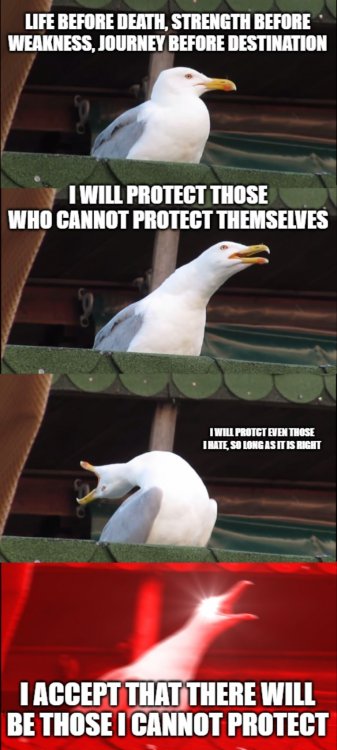 5ffdf89b4ebc0_6Seagull.thumb.jpg.572e88044a9be4eb74d4890e7e9e6fd3.jpg