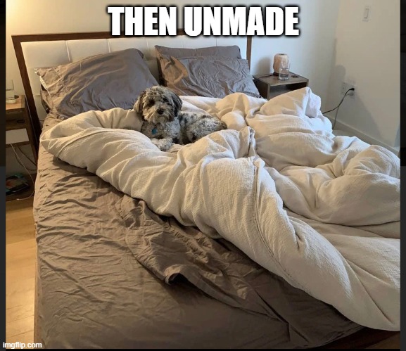 6014523e878b0_WeUnmade.jpg.1260e447a9515c4bcce75f9a788dda43.jpg