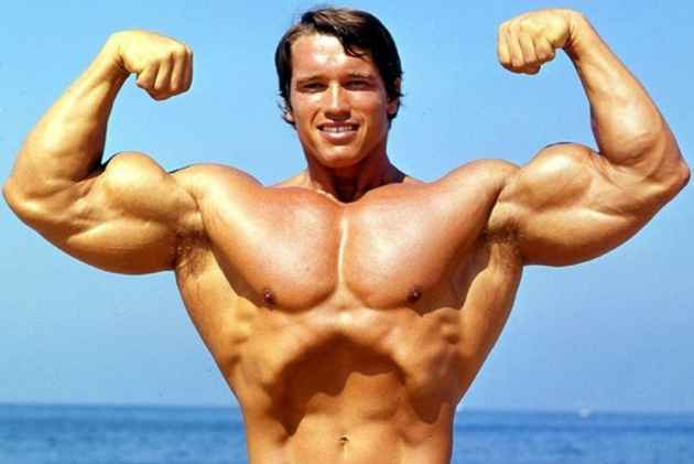 ARNOLD_630_630.jpg.69b78f65556ebe436d92e50cad196e38.jpg