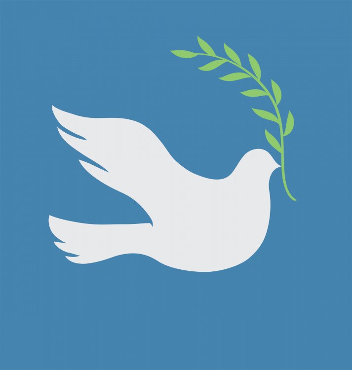 Doves-of-Peace-to-strike.thumb.jpg.6c1d98cf3bf75e04b5f886acd1be2872.jpg