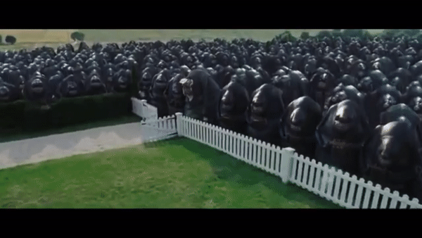 ED6EA53D-973C-44D5-A60E-9ADBB7C25150.gif.e3bc67b027a46ae4452f4a1ad7e3d305.gif
