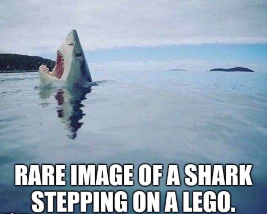 FB1EAD59-7F4D-4A87-887F-A6558496ABE9.jpeg