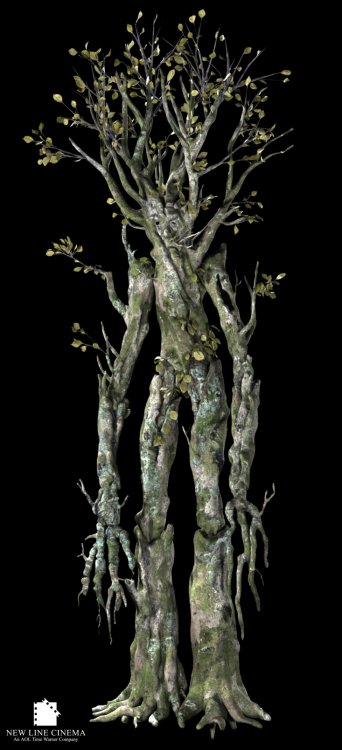 ent_beech_big.thumb.jpg.e9aefbc65cf1c7f8f3dd93fd23dab2fa.jpg