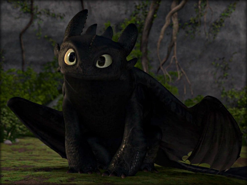 3894819-toothless-toothless-the-dragon-32987040-800-600.jpg.d24b16bf579b6b9836f2c435b8e281bd.jpg