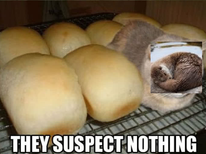 60461fd0b362e_Sanstitre.png.558d0175808bbc8e4a0e44426cbde3c9.png