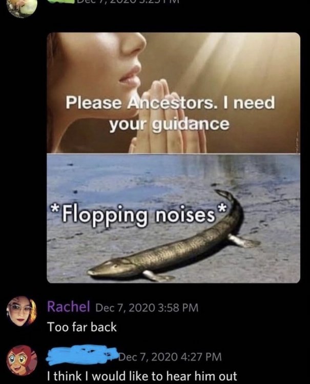 A73F8192-2A76-421F-9F4D-D7619A110D0B.thumb.jpeg.893df06b544561377526d7fd8eb13497.jpeg
