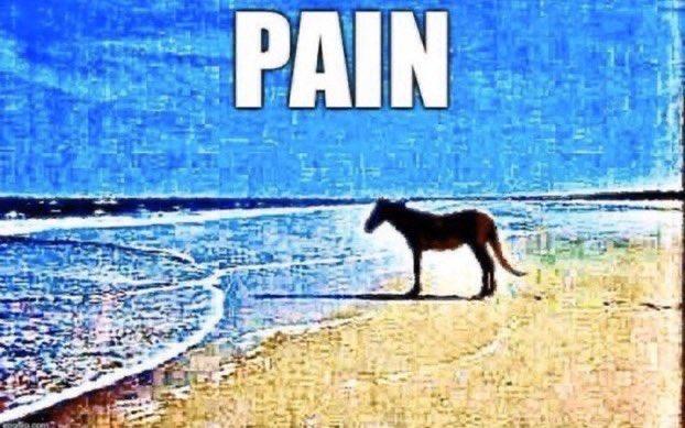 pain.jpg.31f2051a80a352358d99c15e80e650b2.jpg