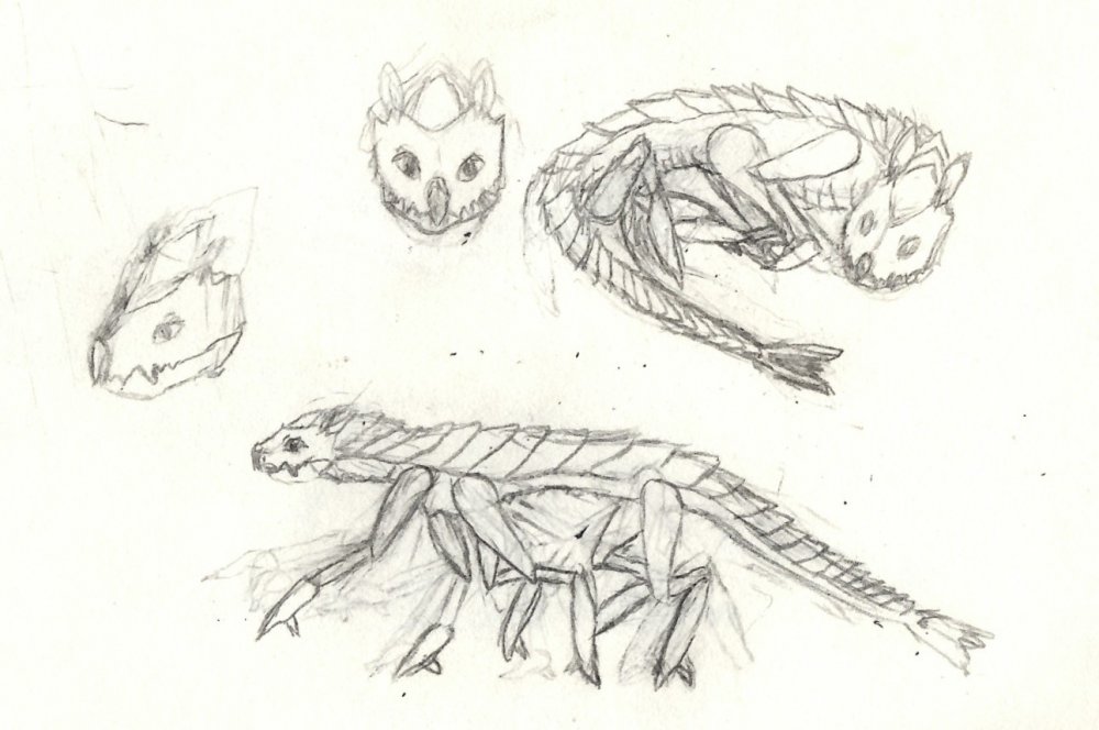 axehoundbreed 2.jpg