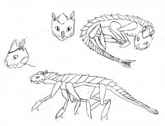 The Conch Canin (lineart)