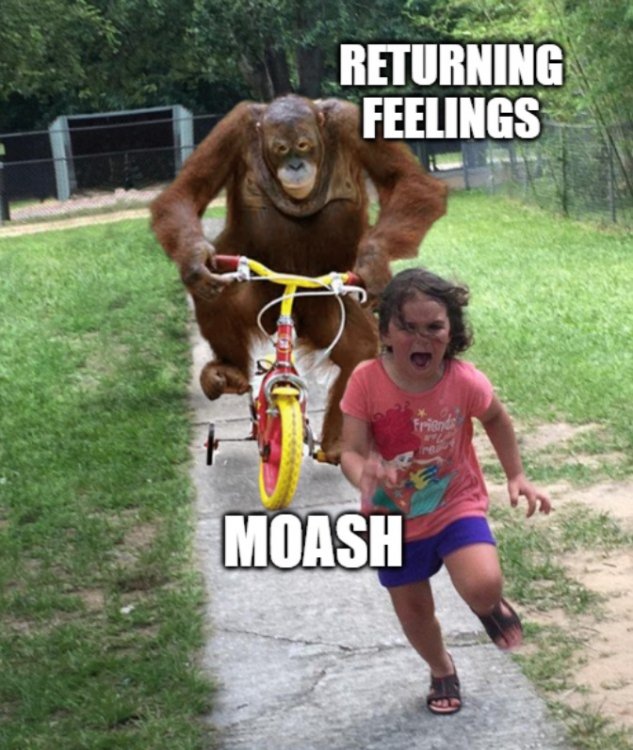 60916d99c9a97_15Orangutan.thumb.jpg.5ee6ad59089b271b65f85c3c805cd33a.jpg