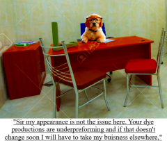 Sentient dog
