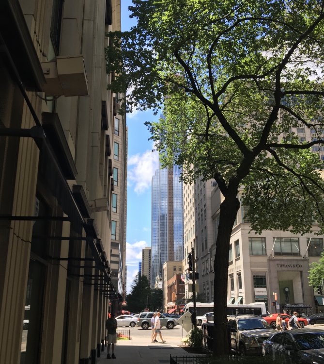 CF914D74-4E26-4B45-B298-9C1D6363316A.thumb.jpeg.9ac5bb96273eb198c90357132ce71314.jpeg