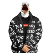 NeonButterLord42