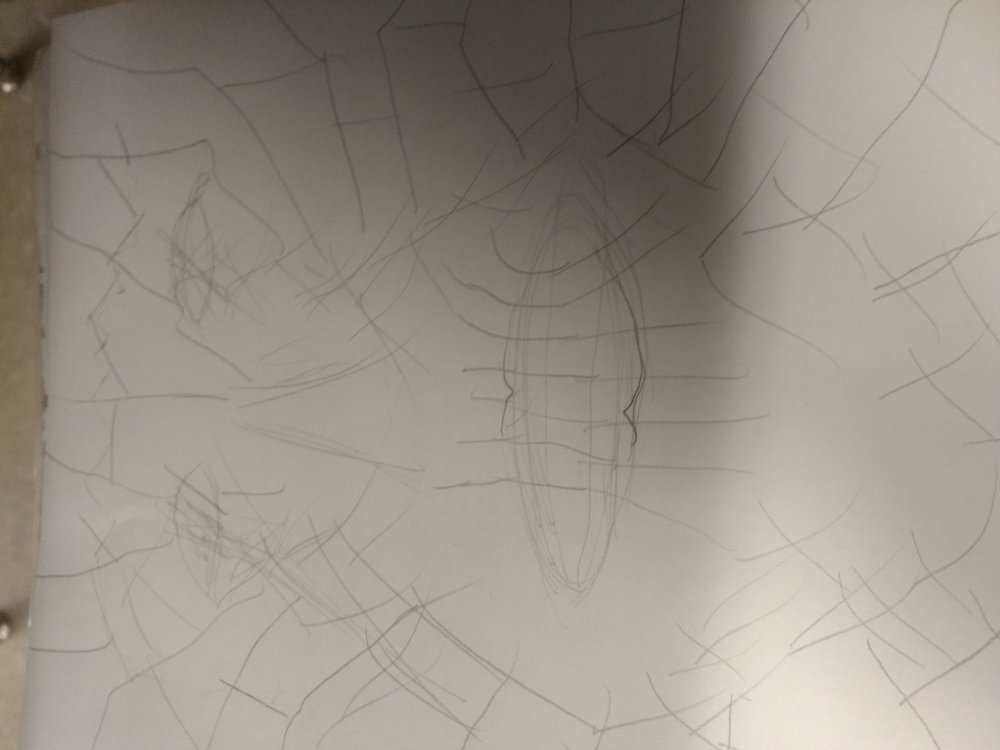 1632139168953980394257.thumb.jpg.a2ebfaa91959b042b1447fd4ff3ea730.jpg