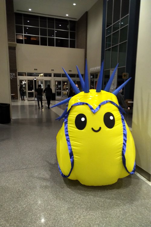 doomslug.jpg