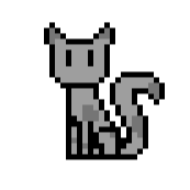 Blackcat