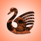 Coral Swan