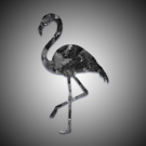 Onyx Flamingo
