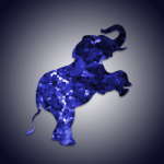 Sapphire Elephant