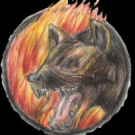 Charcoal Hyena