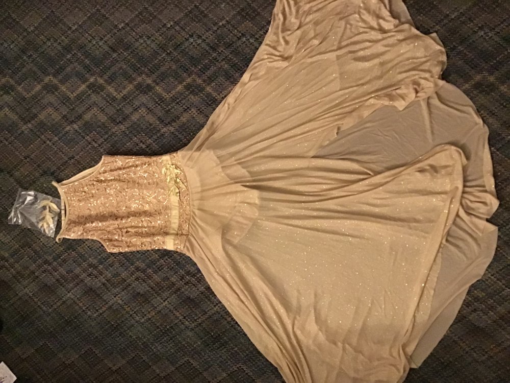 61ef6efaa268d_BalletCostume.thumb.jpg.d4b937abd4b6715f53e41c9b5b6f6ef1.jpg