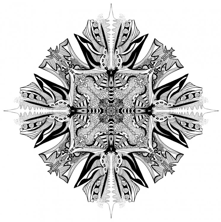 E671117C-21CA-4D7E-9E22-8648311998D8.thumb.jpeg.54a5c9b3d2ac2185da3c4a5eff61558d.jpeg