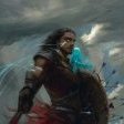 TheCollector