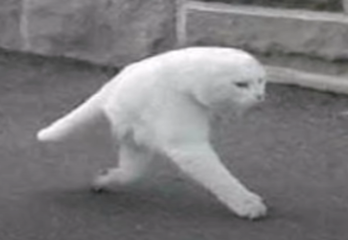 CSP7.PNG.eba2fecc9306b412d4eccccb66fb14c8.PNG
