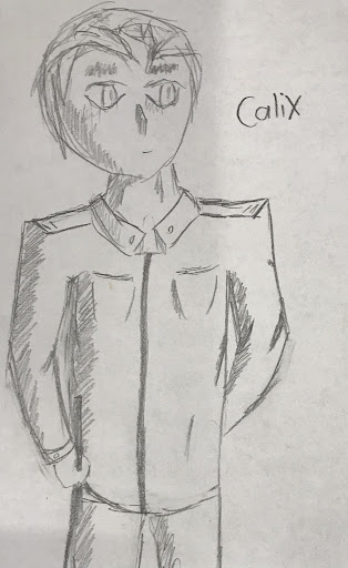 Calix.jpg.bda96f7524f20a1548b2de499528f5cb.jpg