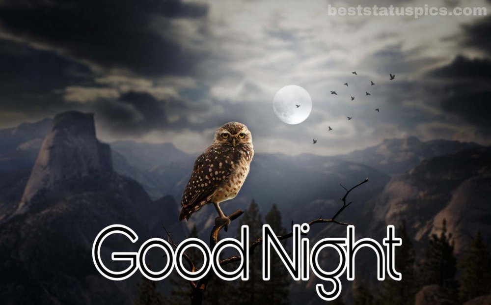 R-C(160).thumb.jpg.531bcb561bedb502ffeb785c1b263fee.jpg