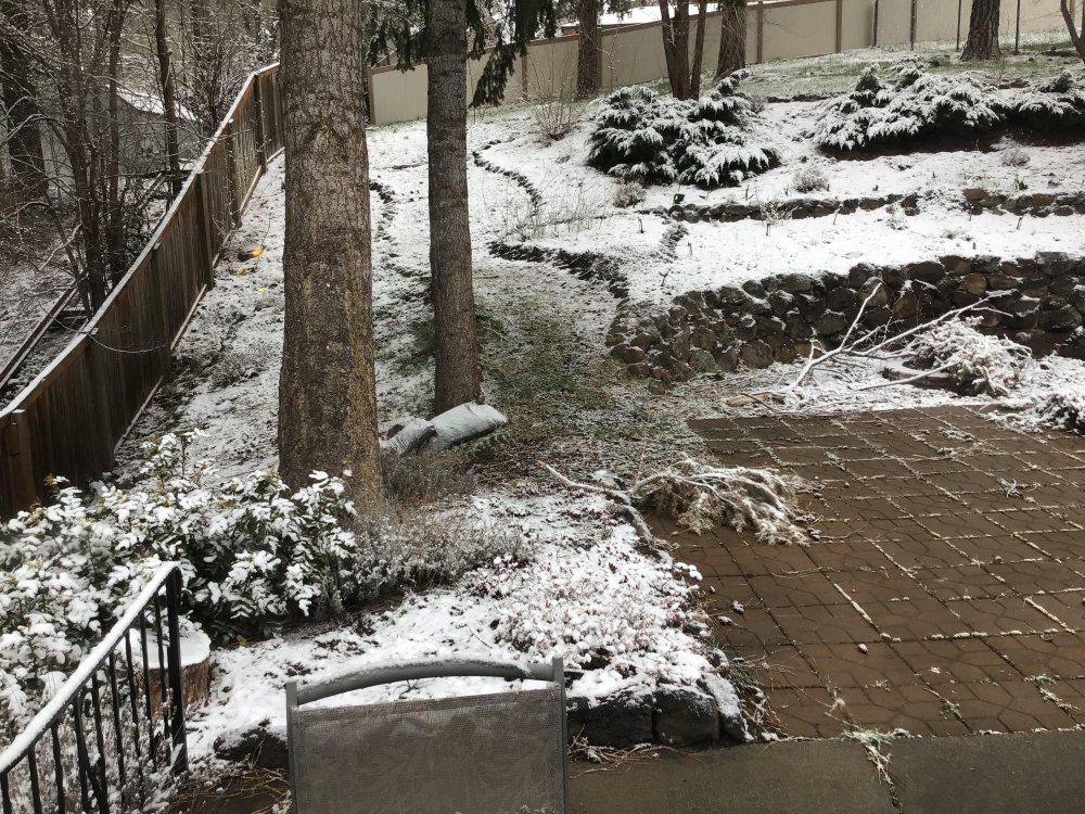 6259826b22c42_snowday1.thumb.jpg.e34a155ddc4cc35a3d25d82b21555e95.jpg