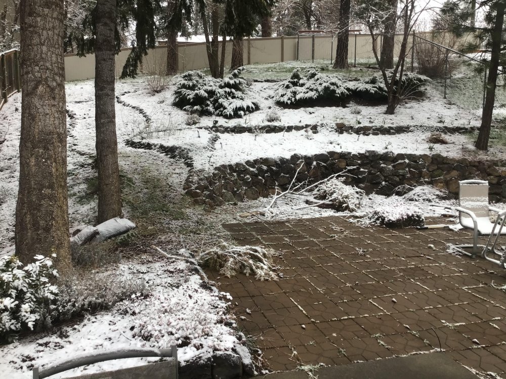 62598271daf7c_snowday3.thumb.jpg.c80035436d76ef273c26f789a68769a9.jpg