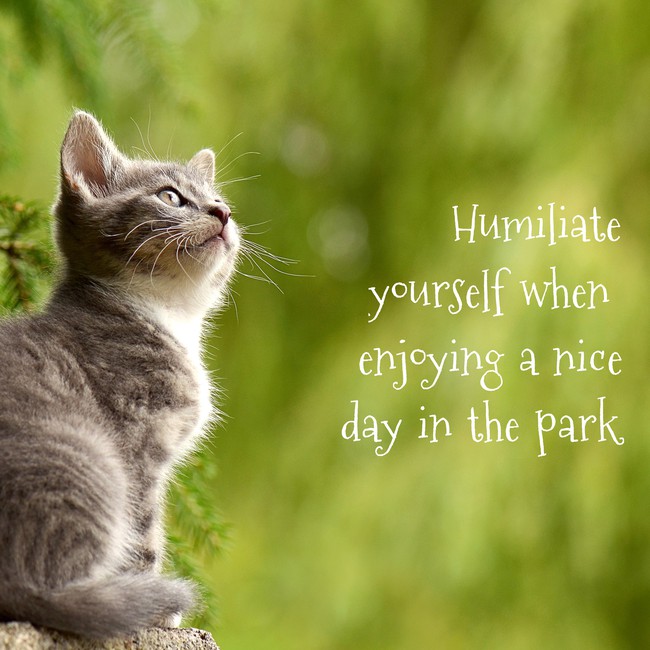 626719d2864e7_humiliateyourself.jpg.2e933a3f2c2c718985c1d2be9bc5684a.jpg
