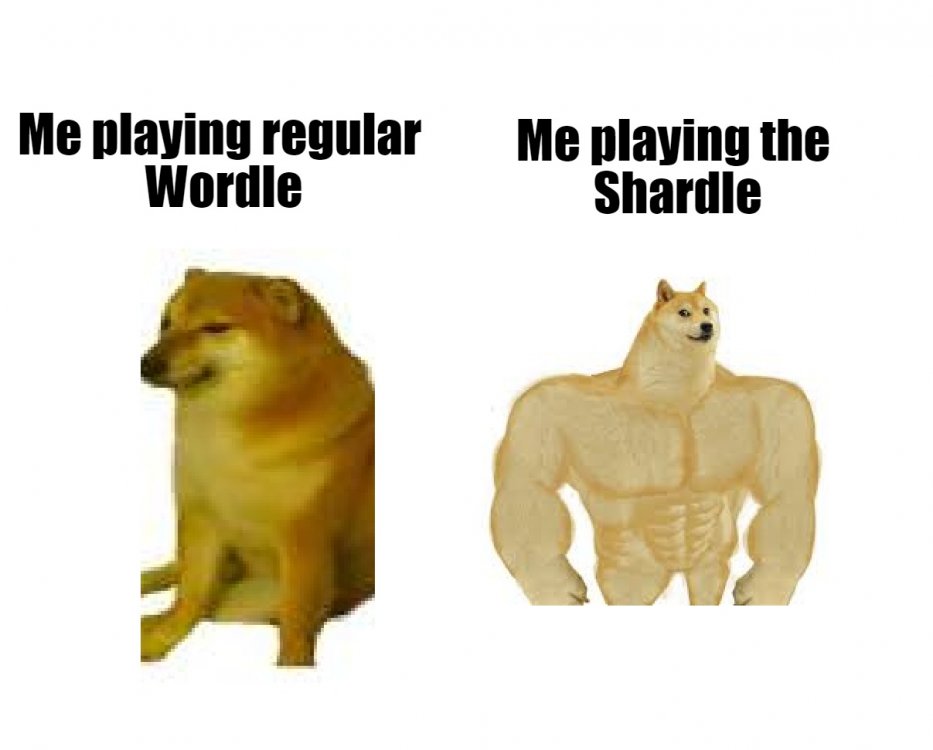 626d4ad327bea_shardlememe.thumb.jpeg.b5a14700fc4163fb4b6ad51745f39860.jpeg
