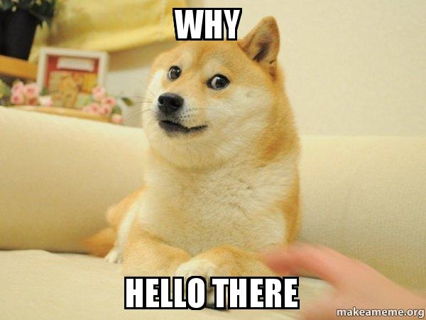 why-hello-4pzj3z.jpg.0a9a3adddaf86395e22491d273797bcf.jpg