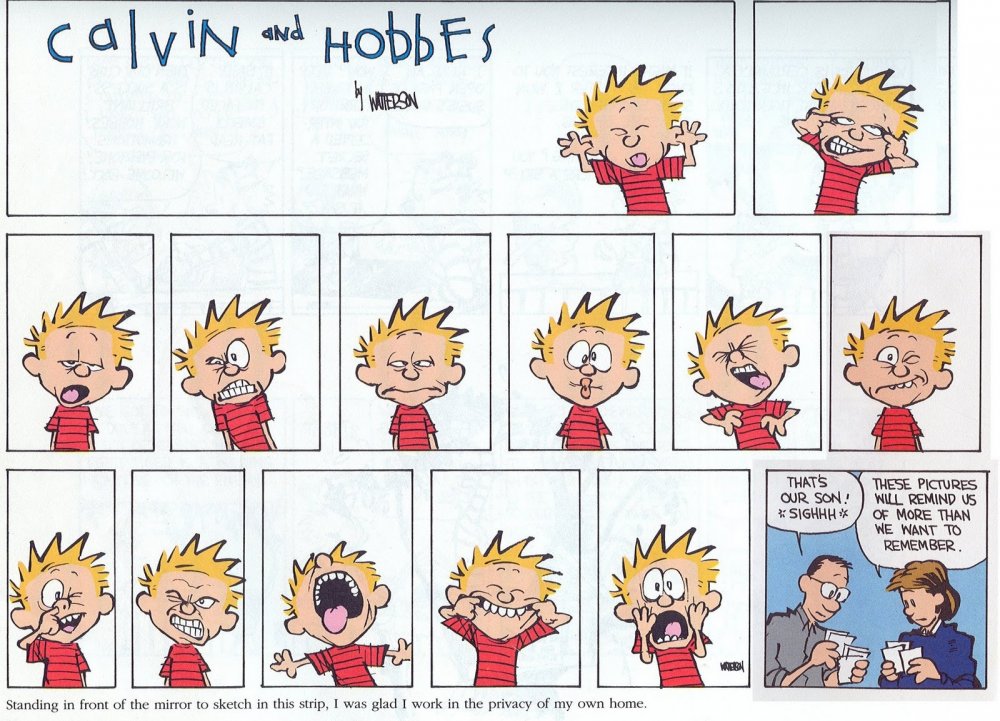 5f5c55ac36cdf_calvinandhobbes.thumb.jpg.ceba928a99749f4c82292400e730bce8.jpg.a11a8eca0c5b912fb4390570f577cb99.jpg