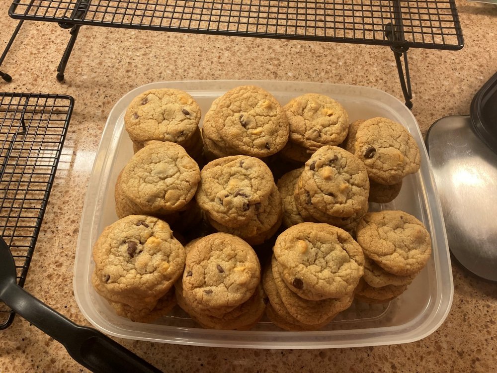 IMG_0003 - Copy.JPEG