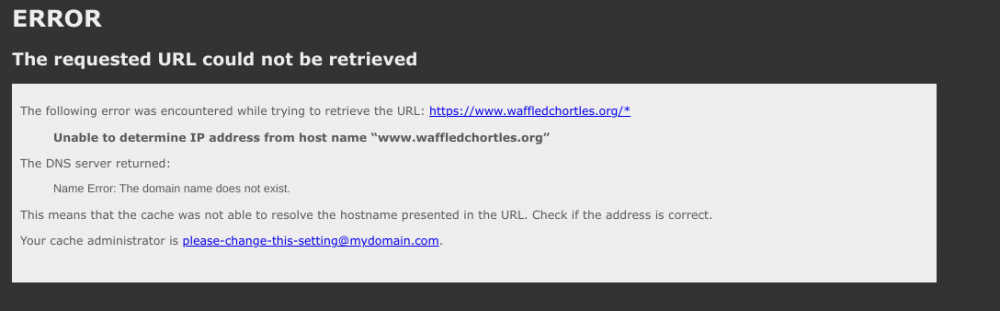 Screenshot 2022-06-01 10.01.17 AM.png
